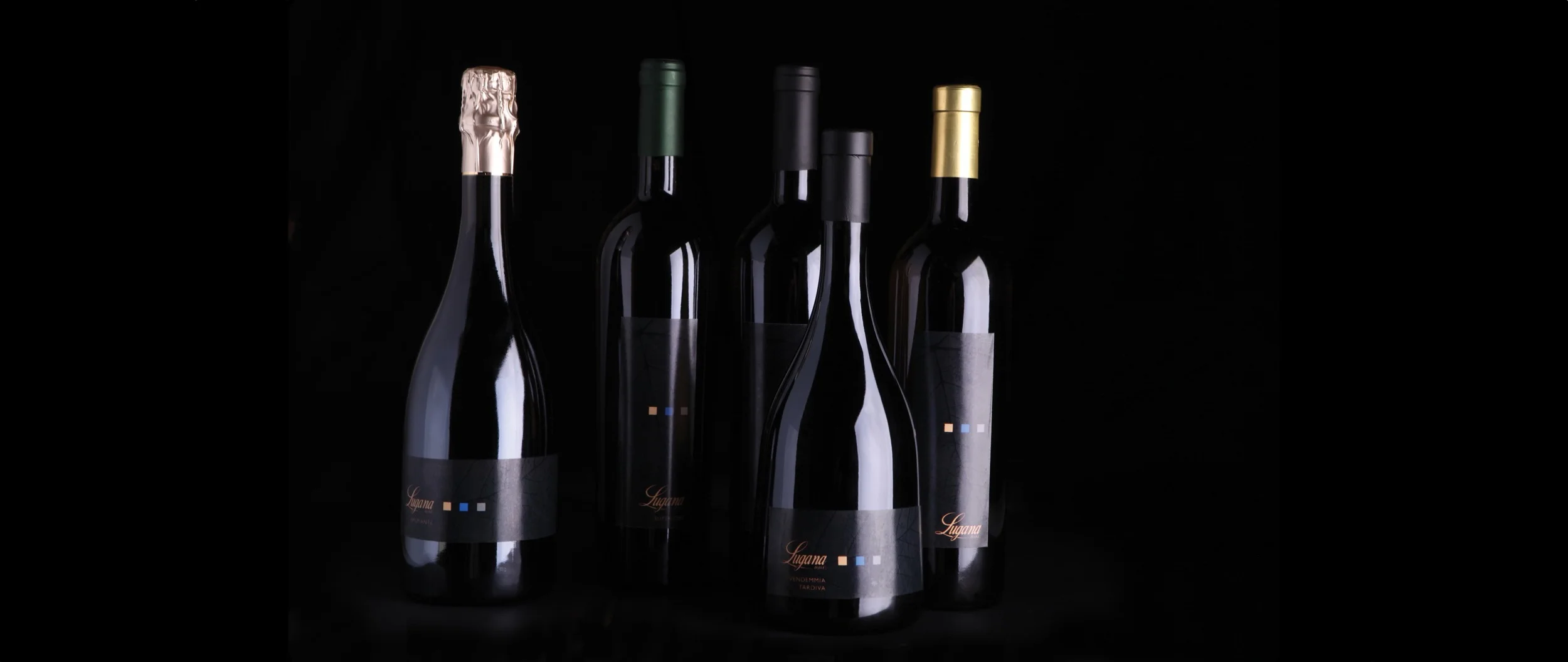 Lugana DOC vini bianchi eleganti