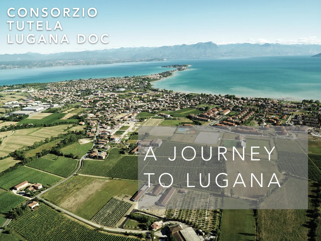 Lugana Master Keynote #1.007.jpeg