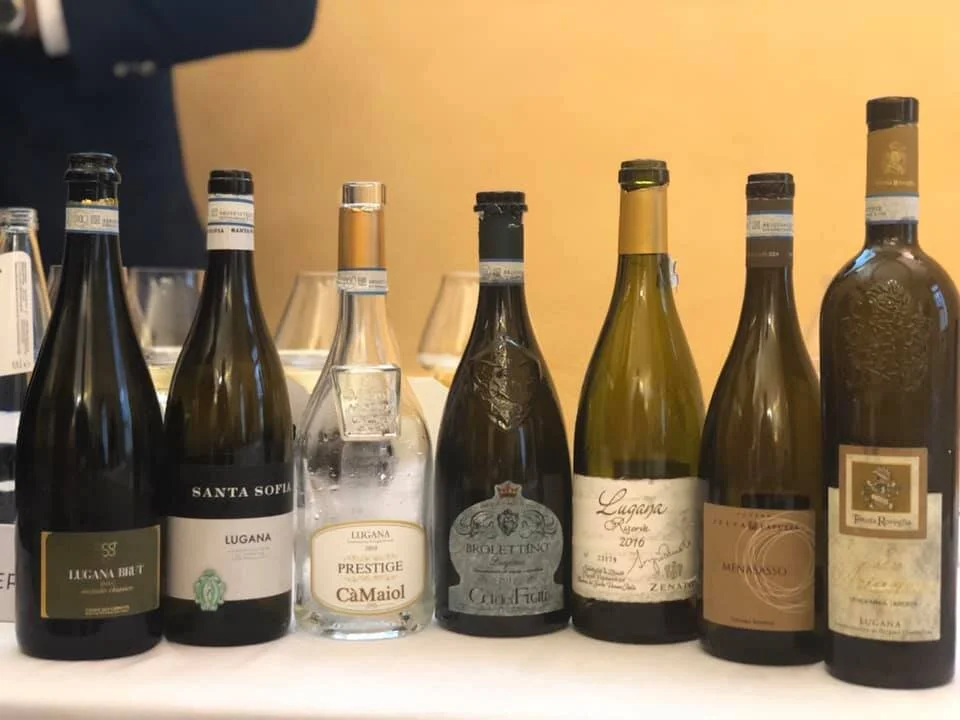 I vini in degustazione