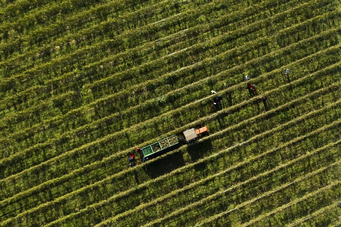 #EXPERIENCELUGANA TOUR, travel e food influencer in arrivo sul Garda