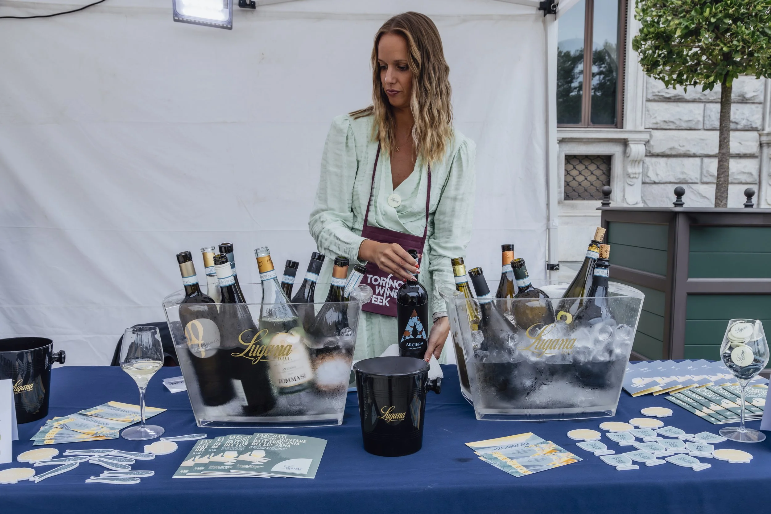 Vendemmia Reale - Torino 