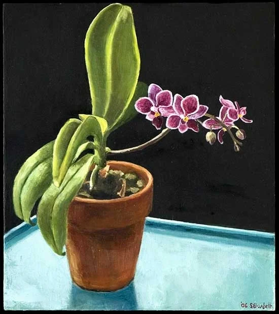 Orchid