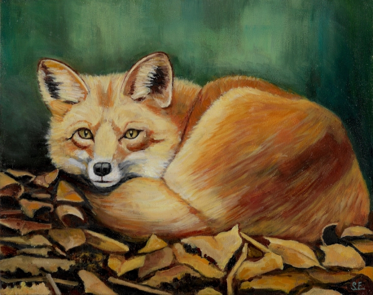 William's fox, oil on panel, 8x10 2016. This sweet fox was completed for my nephew William.