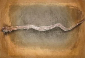 snakeskin.jpeg