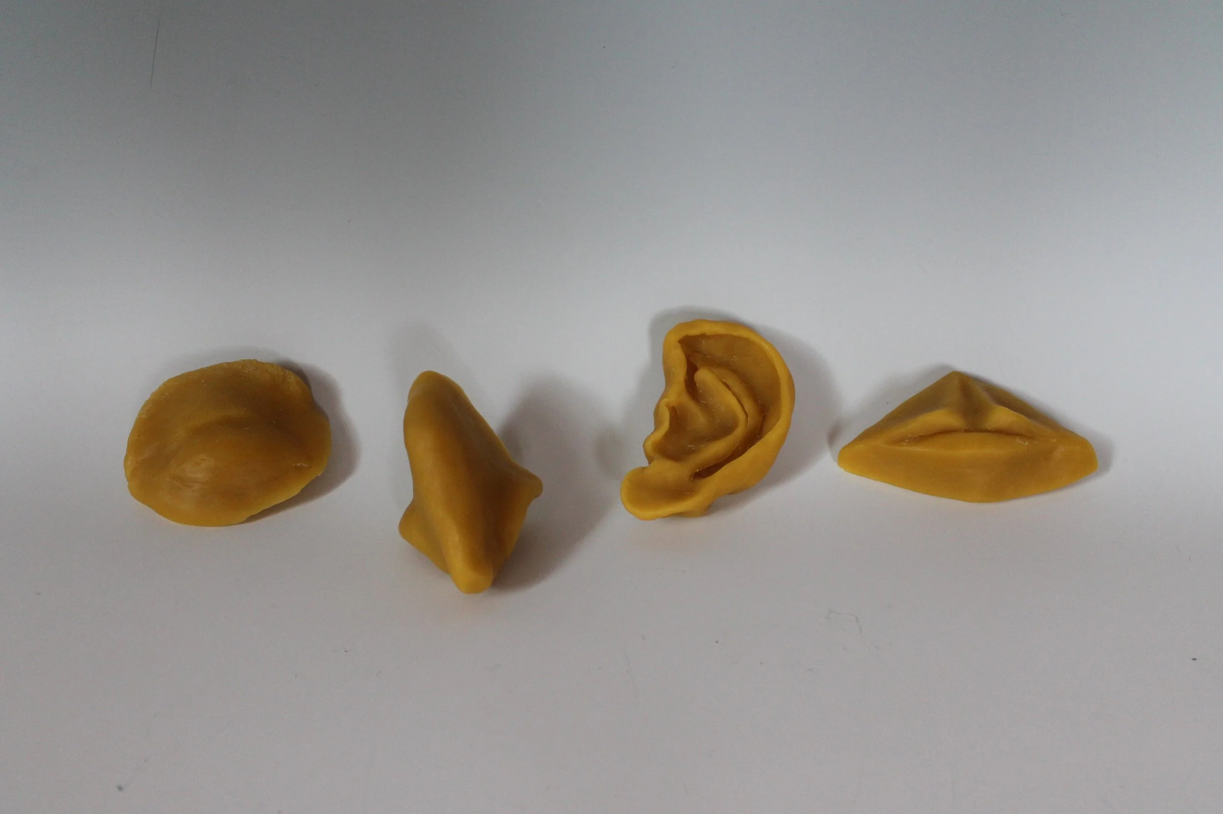Beeswax Studies.jpg
