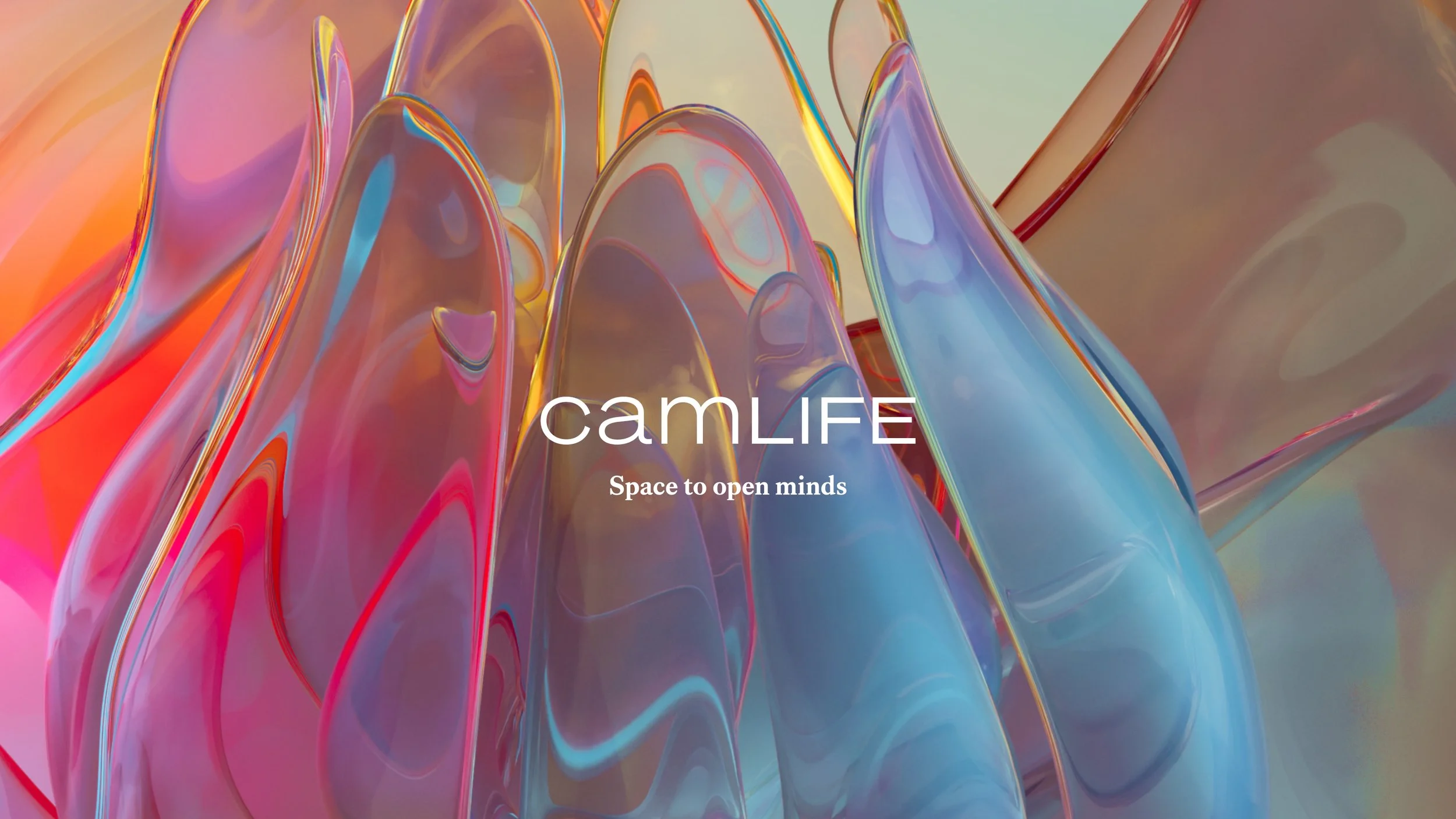 CAMLIFE_Case study_website_v2_1.jpg