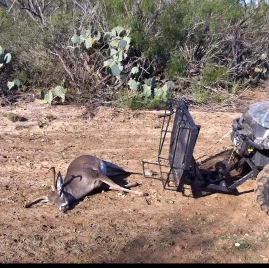 Homemade Atv Deer Loader