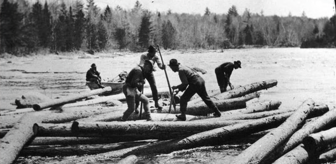 Pre-Order "The Falling of the Pine: Songs From the Maine Woods"