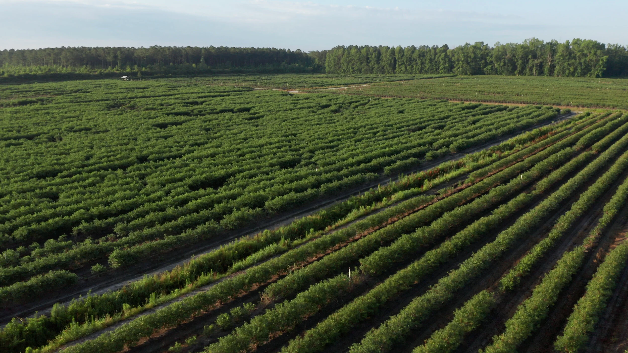 OurFarm_01.jpg