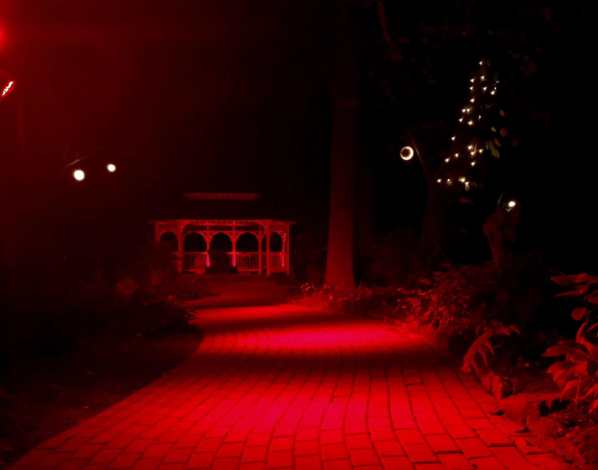Haunted Mansion Party - Cocktails with the Coopers