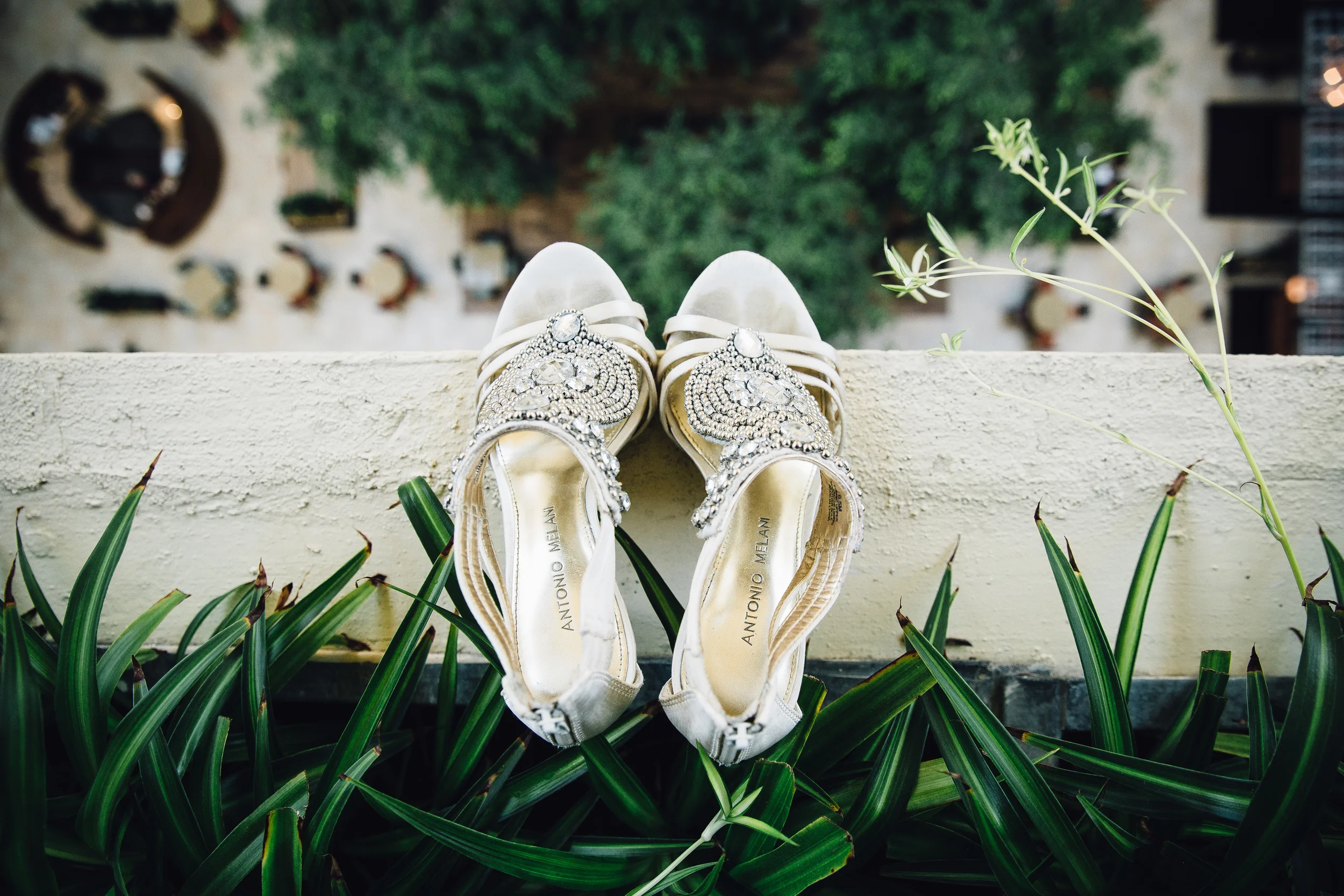 Photo: Dina Chmut Photography