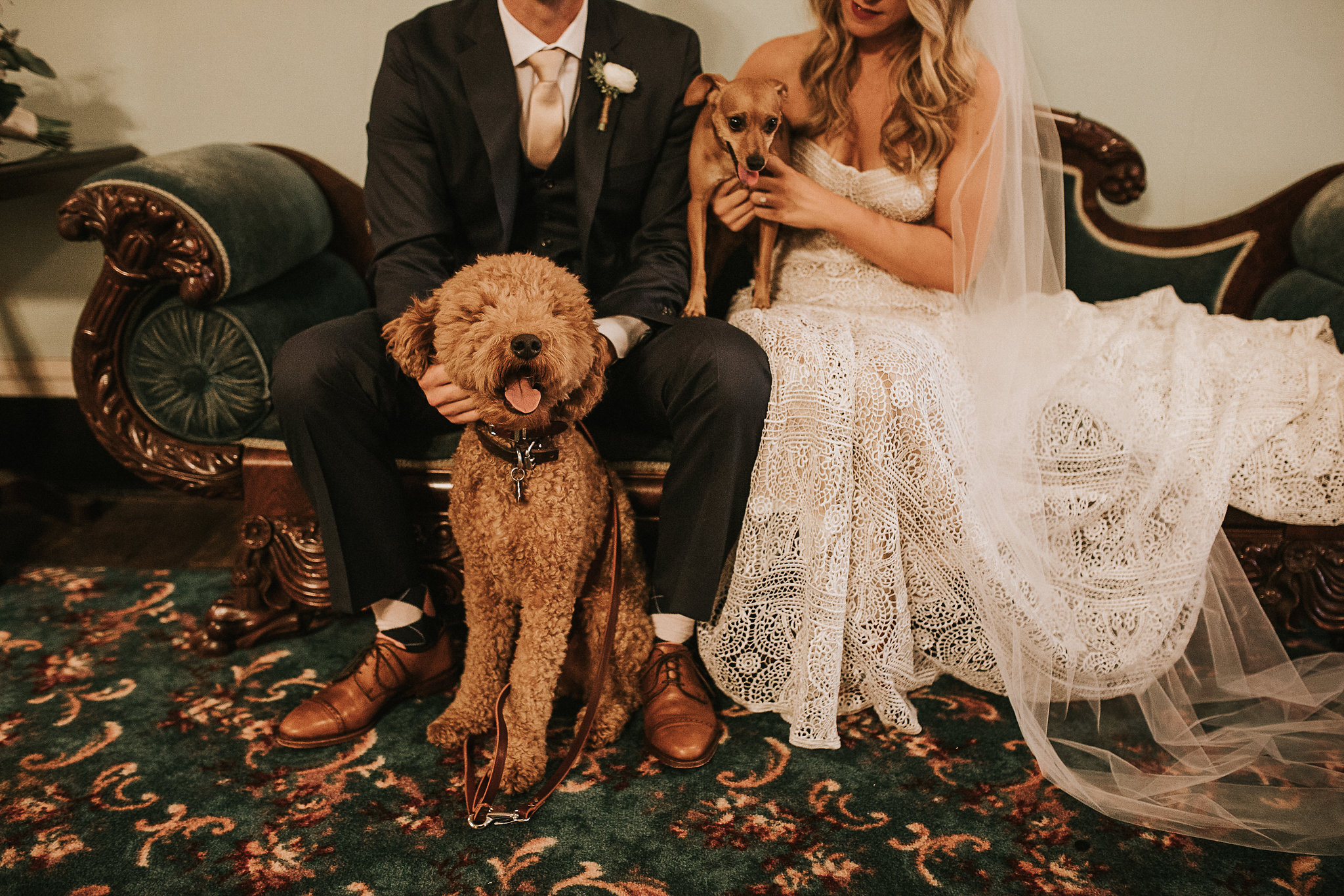 Dog Parents Wedding Nashville.jpg