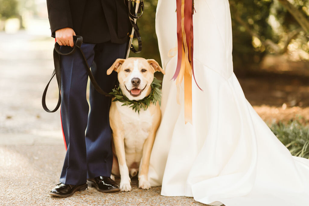 Military Wedding Dogs Nashville.jpg