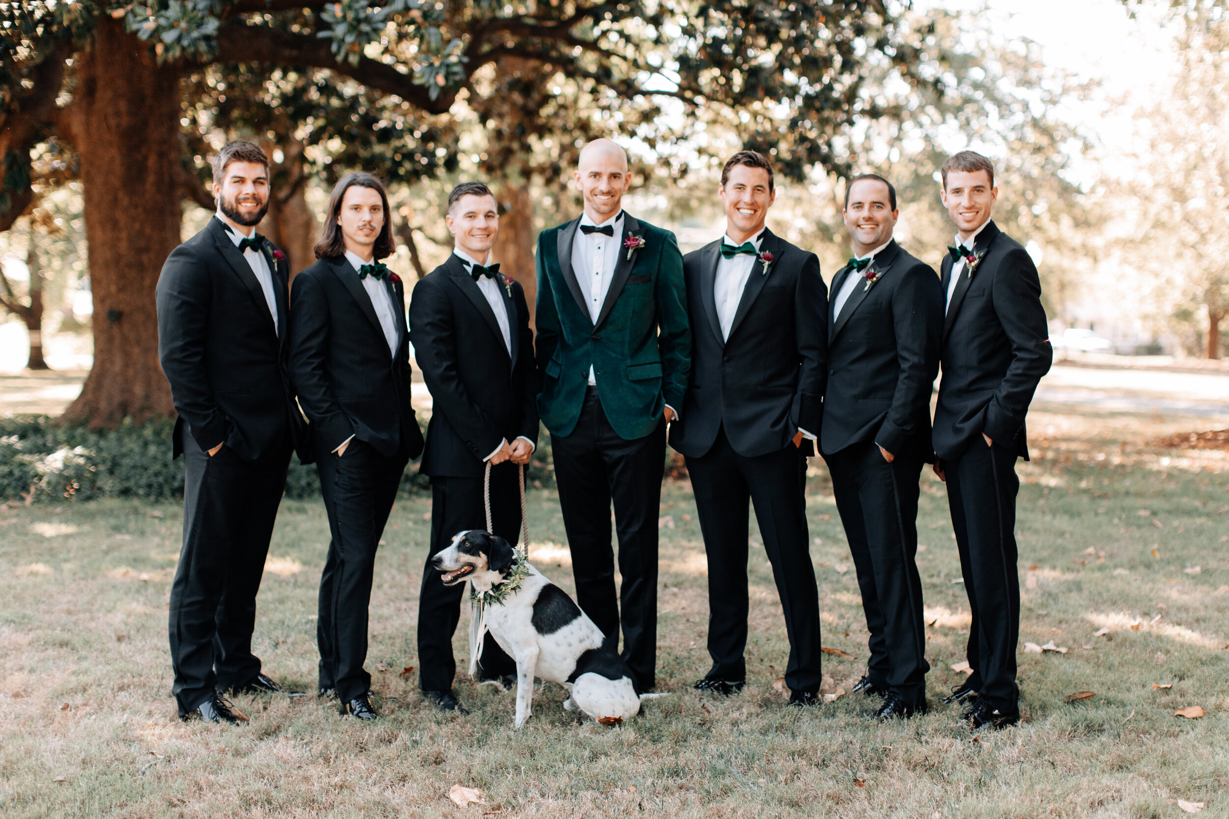 Nashville Ceremony Dogs.jpg