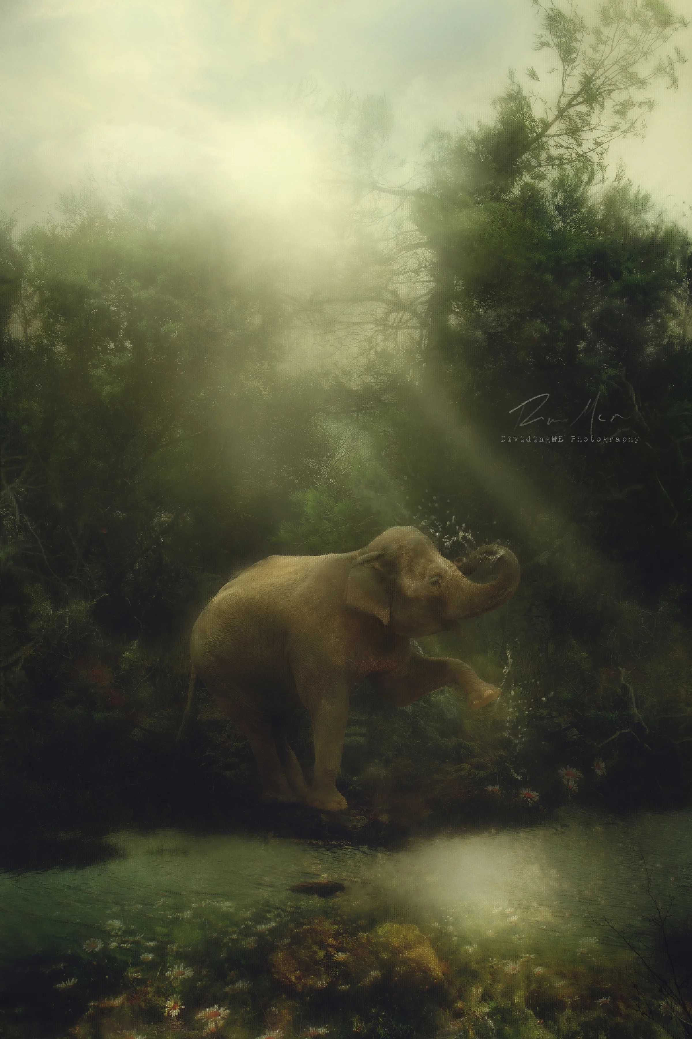 Crystal Bright and the Silver Hands share new single "Forest of Dreams"