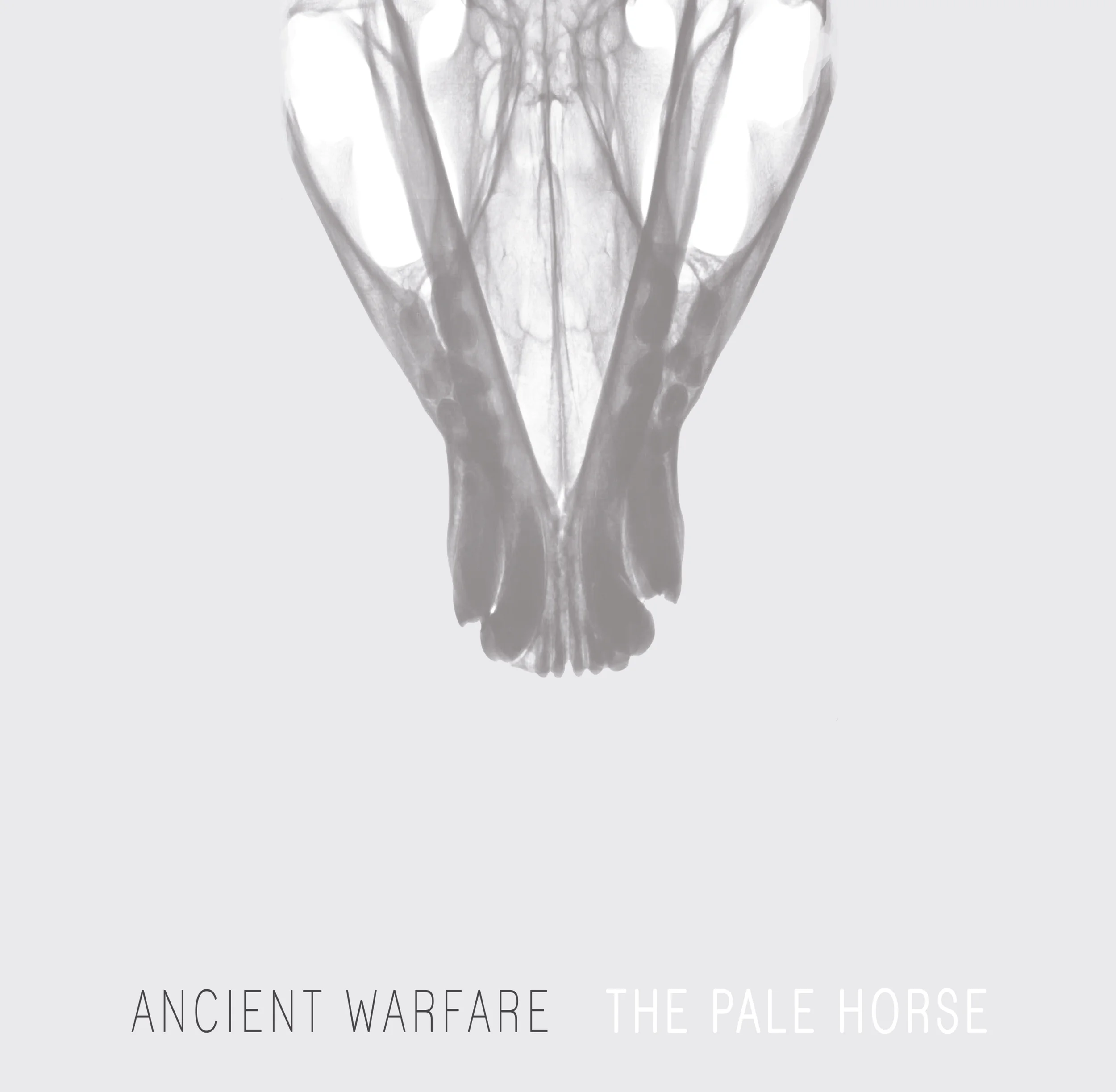 AncientWarfare_ThePaleHorseCoverArt.jpg