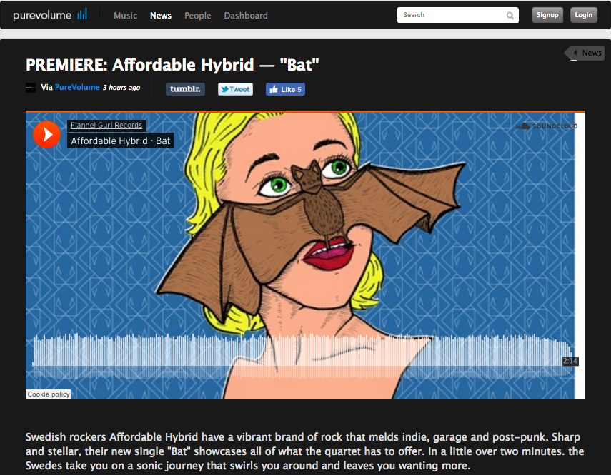 Affordable Hybrid announce new 7" on Flannel Gurl Records
