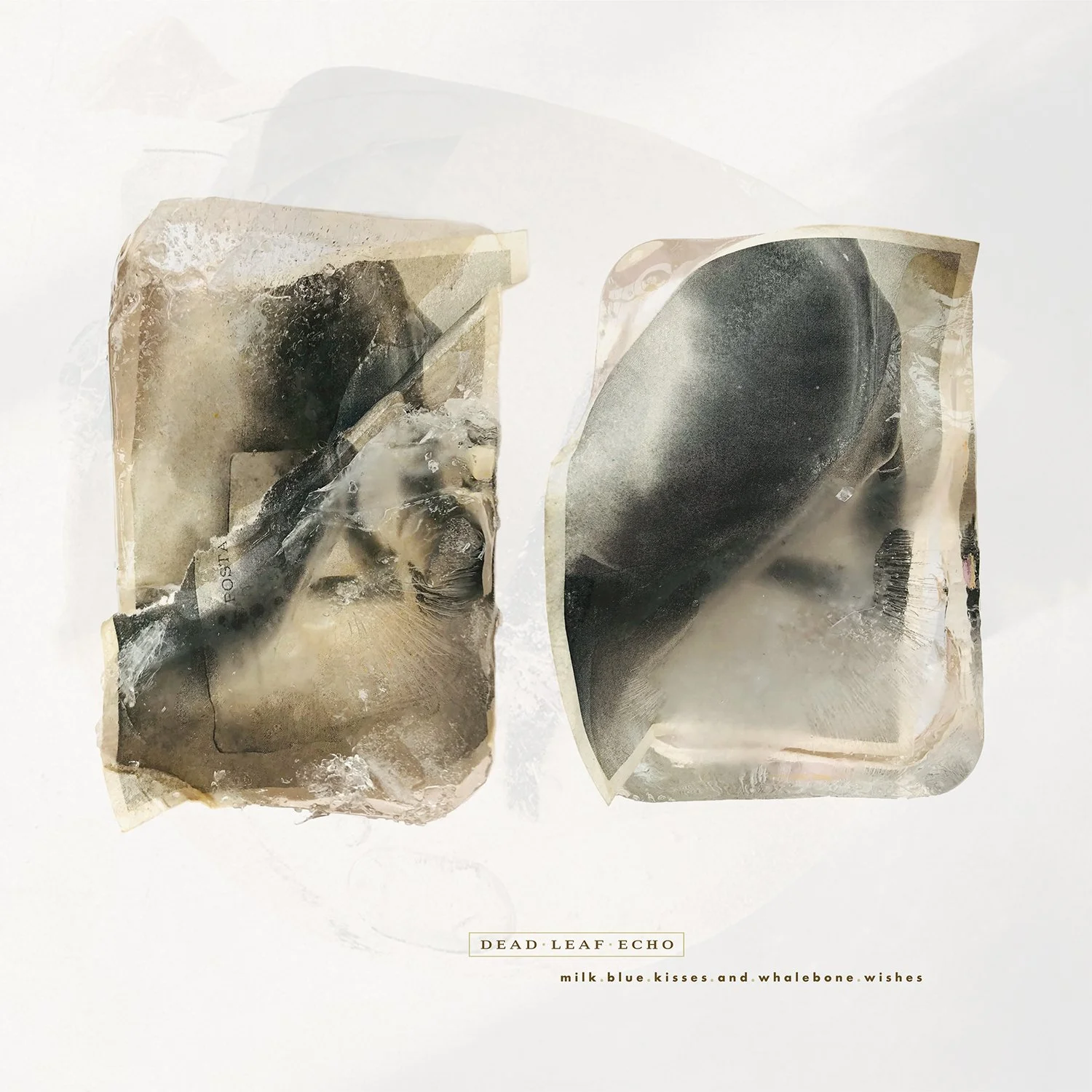 Happy Release Day, Dead Leaf Echo! 