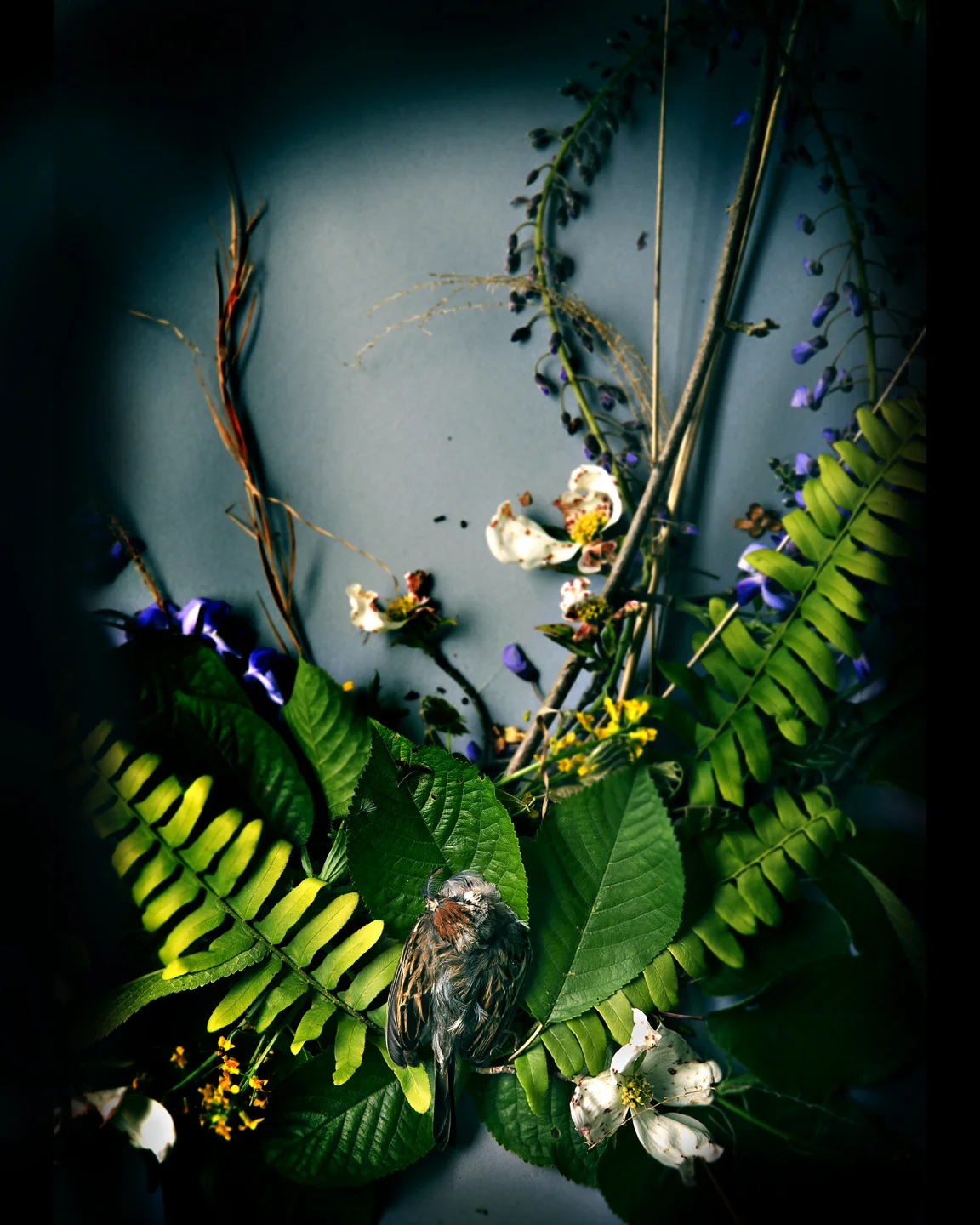 _MG_4175-Edit_3.jpg
