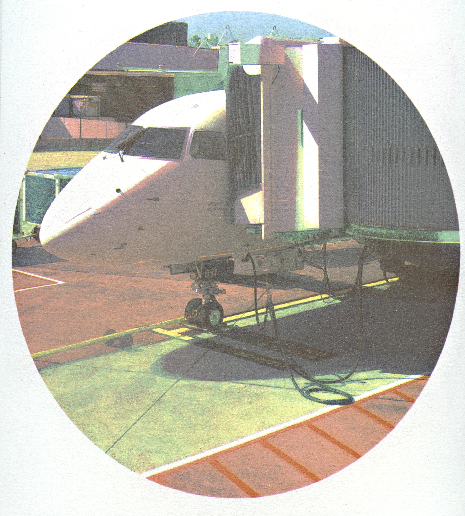 Ifbirdssankships010.jpg