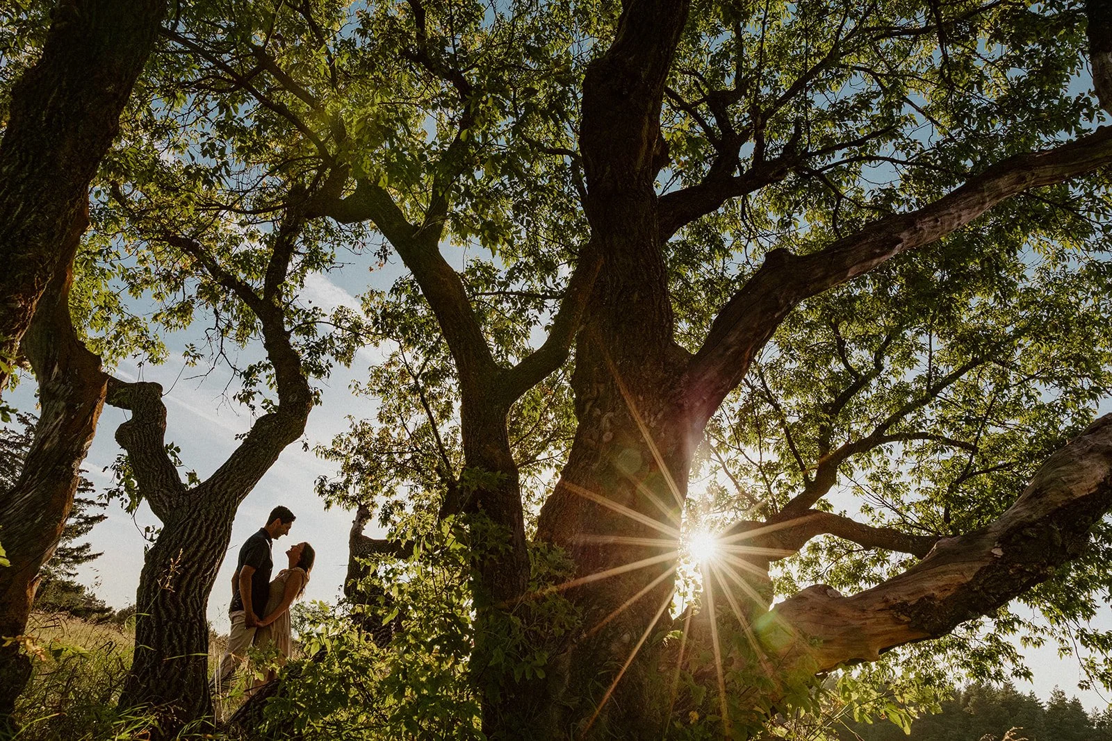  Couple standing under large trees at sunset in Birds Hill Park near Winnipeg with sun flare through branches 