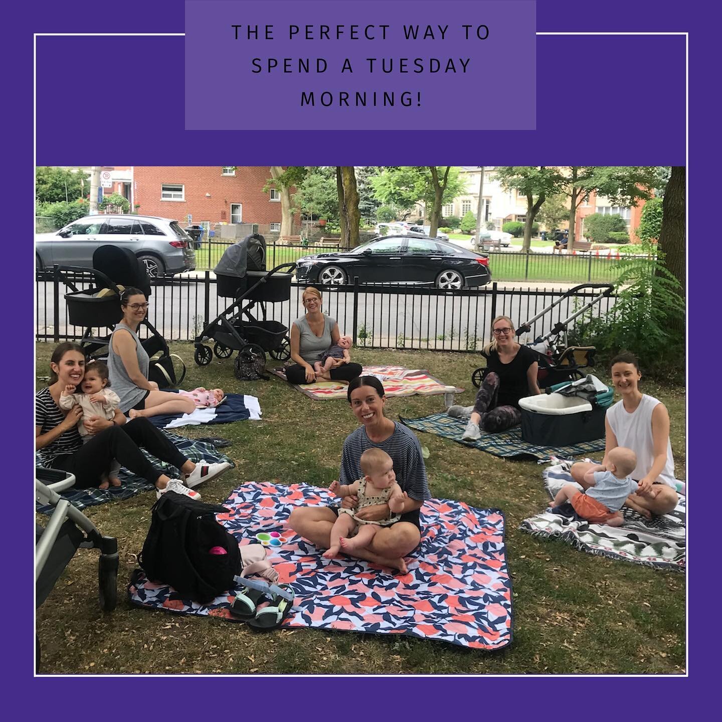 What a great way to spend a Tuesday Morning! Come and join us every Tuesday morning whilst the sun is shining for a catch up whilst the kids play. Have a look on our website for more membership info and meet up times (link in bio) #ntmoms #torontomom
