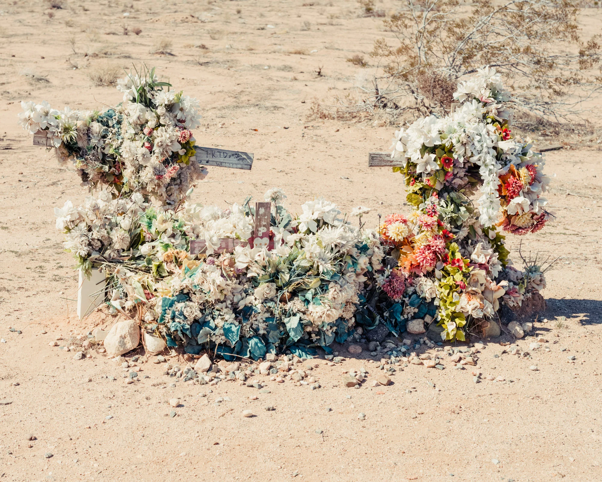 020-Mojave_IMB6669.jpg