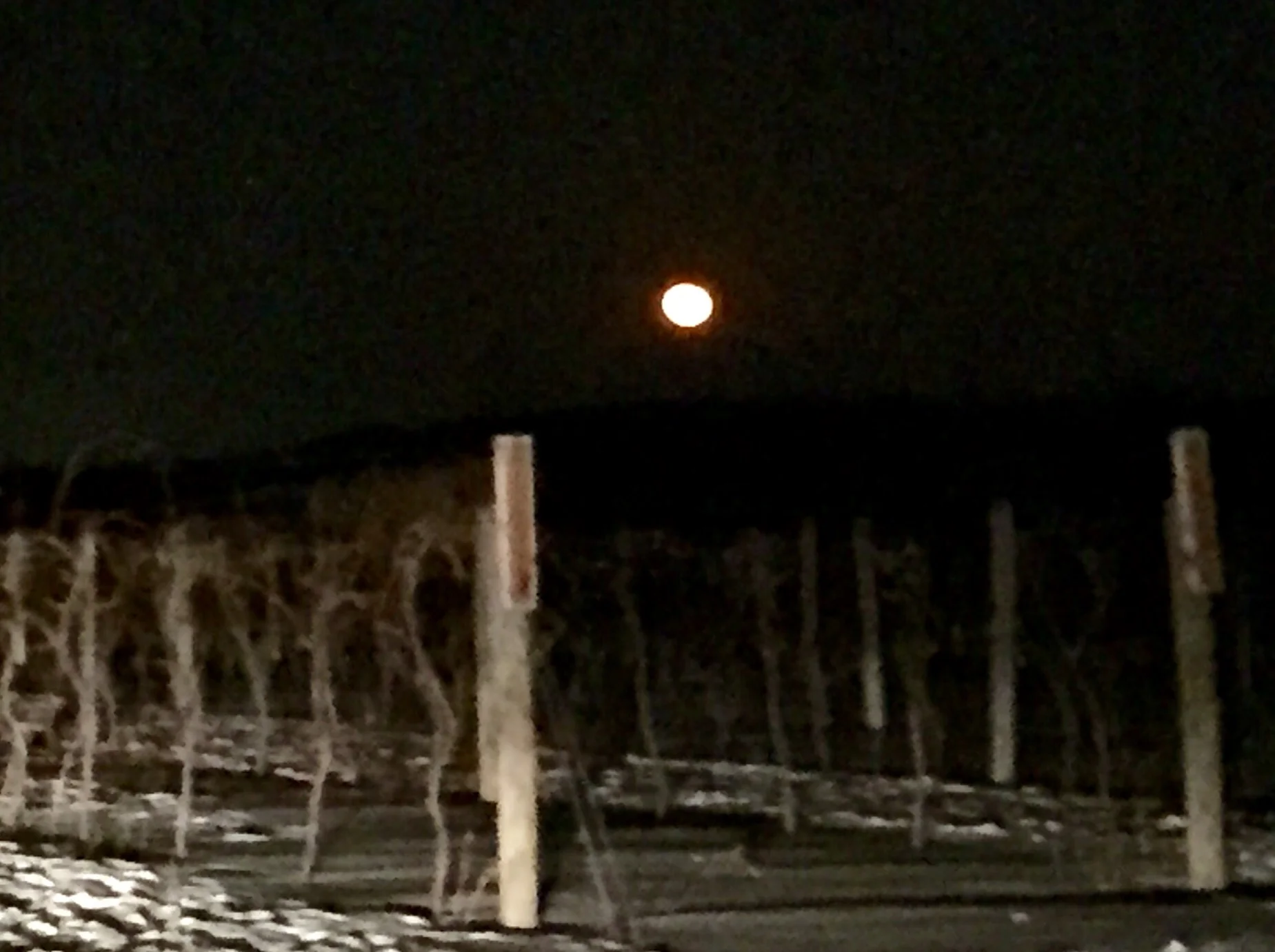 The last full moon Winter of 2015
