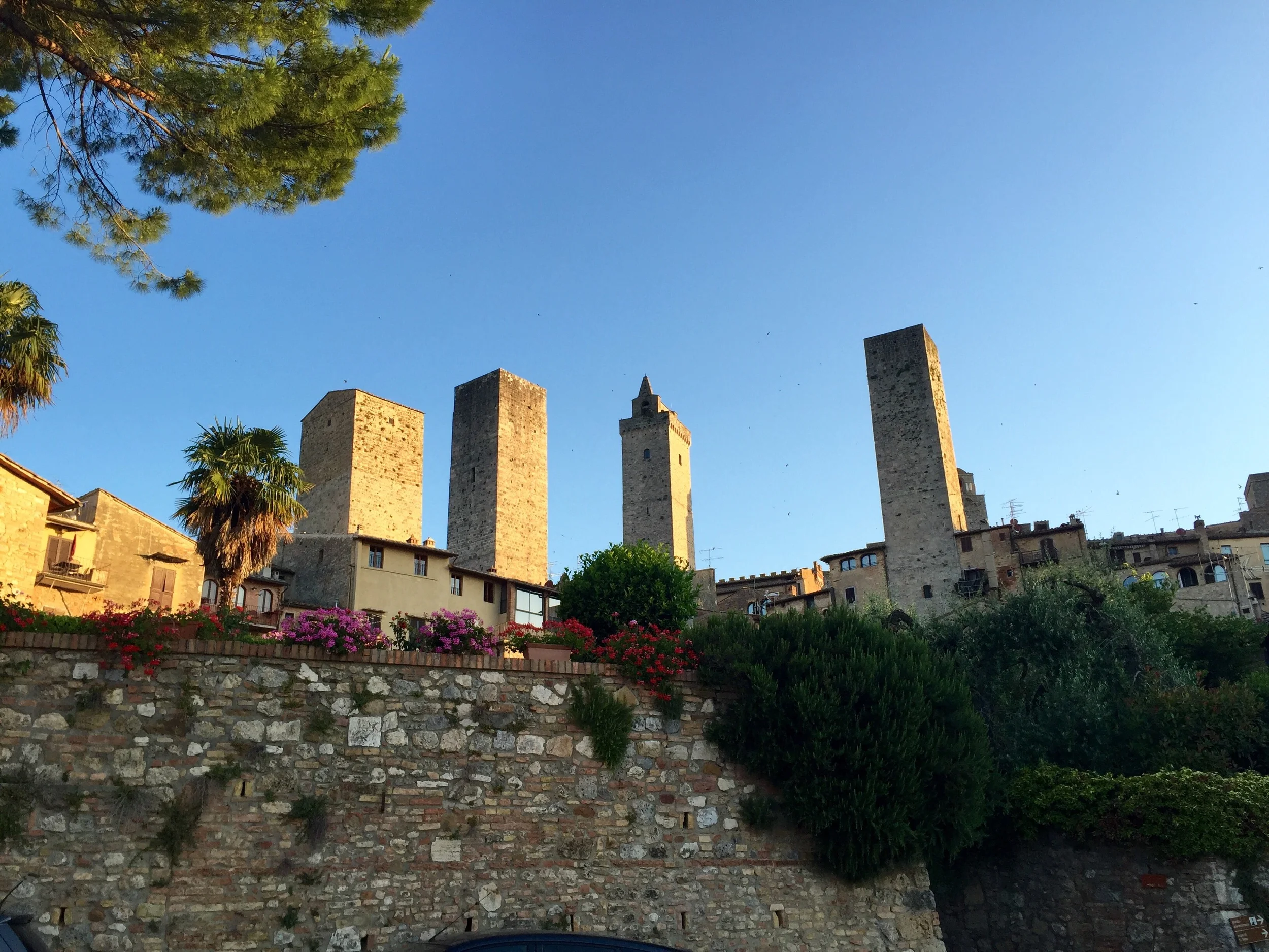 The skyline of San Gimignano with its walls and towers are synonomous with Vernaccia de San Gimignano. The first wine recognized by poets like Dante, Popes and the Italian government.