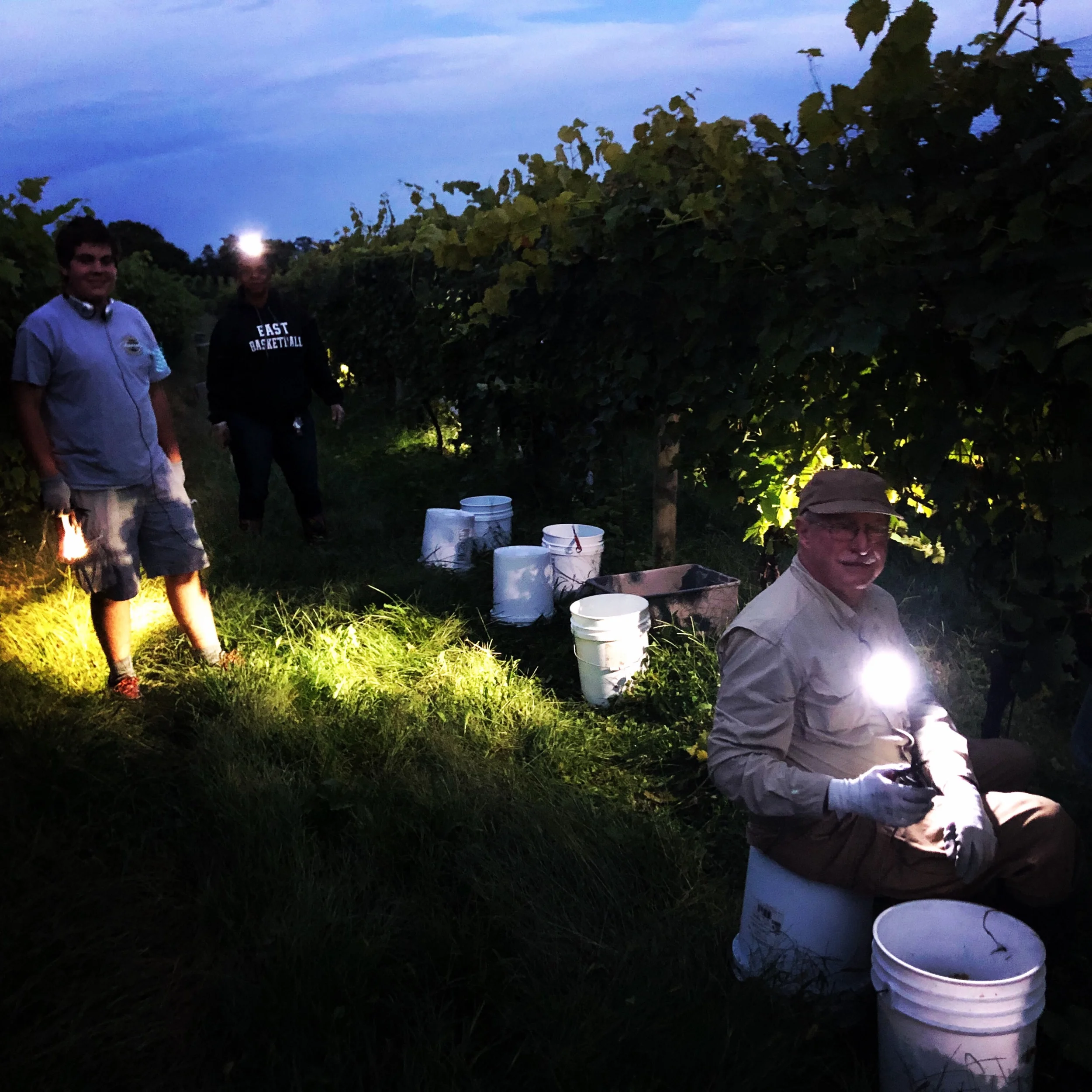 Night picking party 2018!