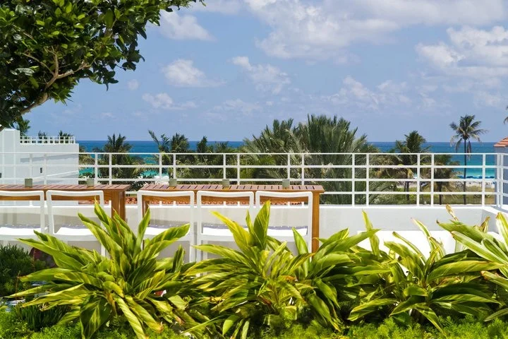 roofdeck2.jpg