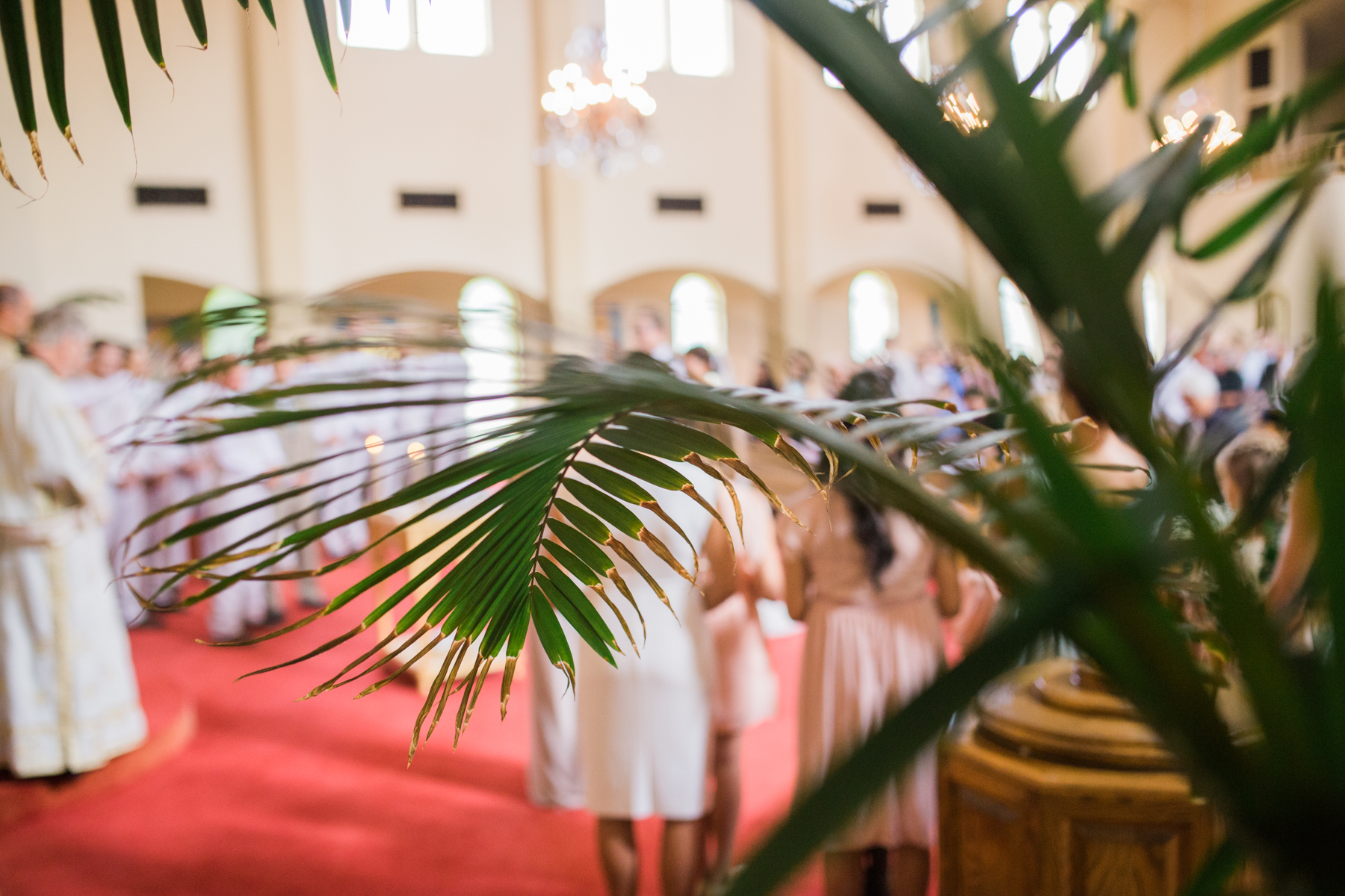 Colorado four mile historic park wedding