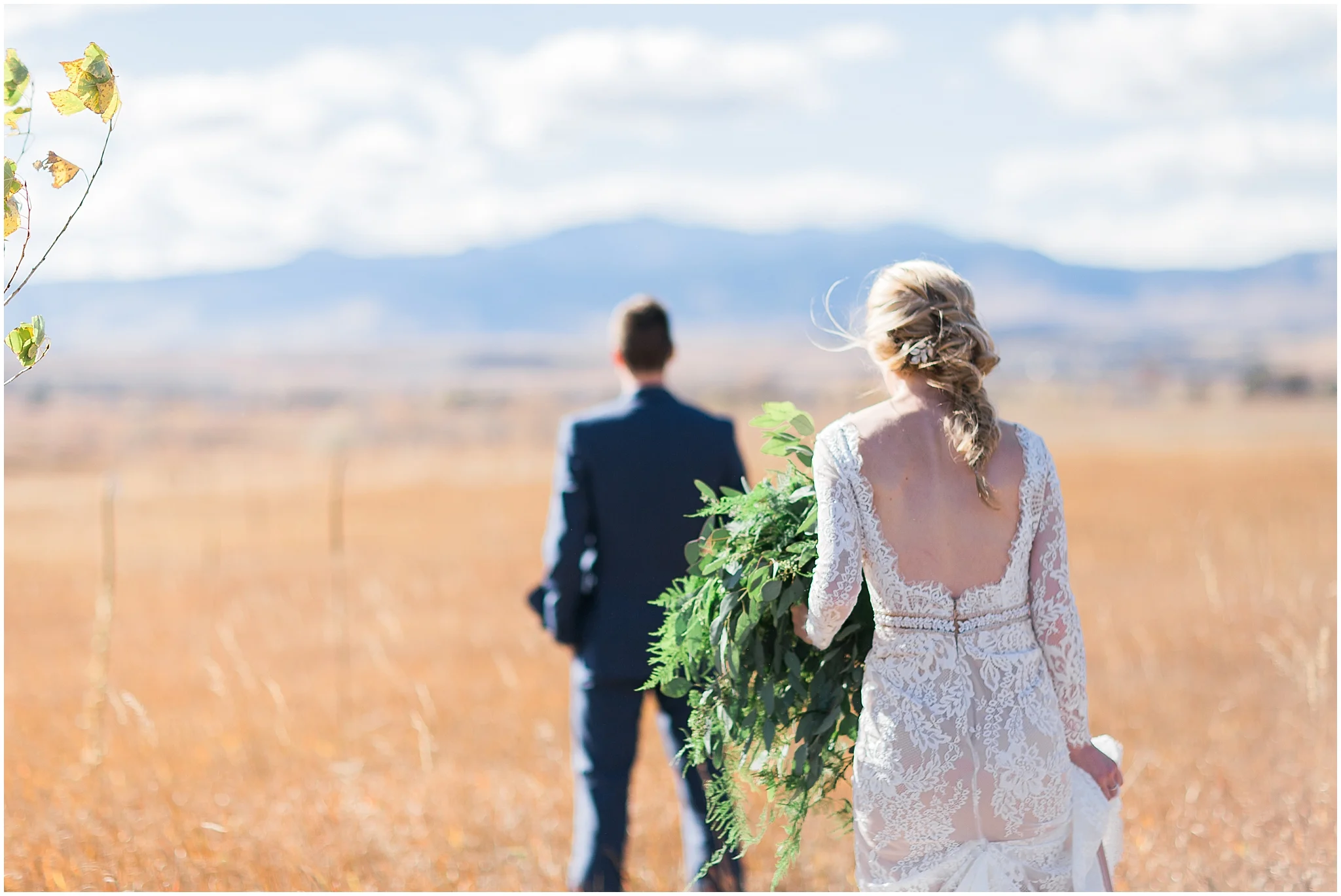 first look in field