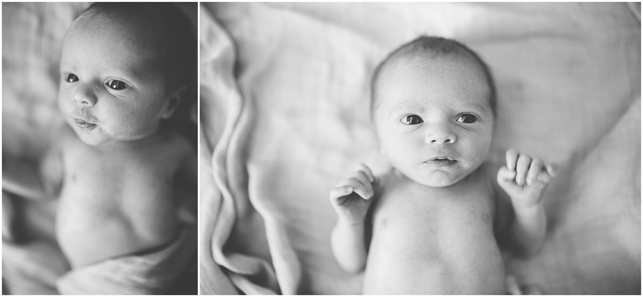 colorado newborn photographer