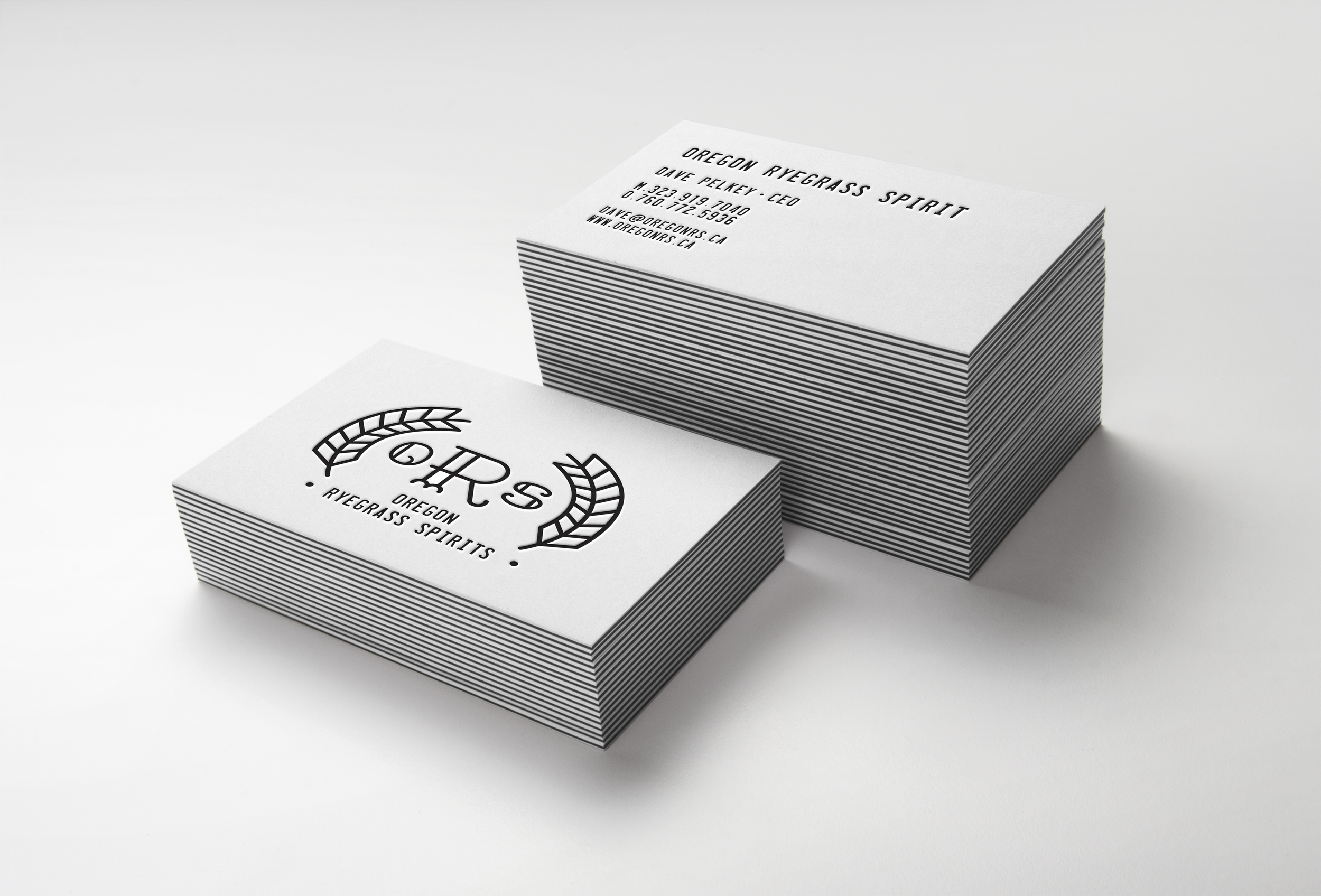 ORS MOCKUP 1 WEBSITE.png