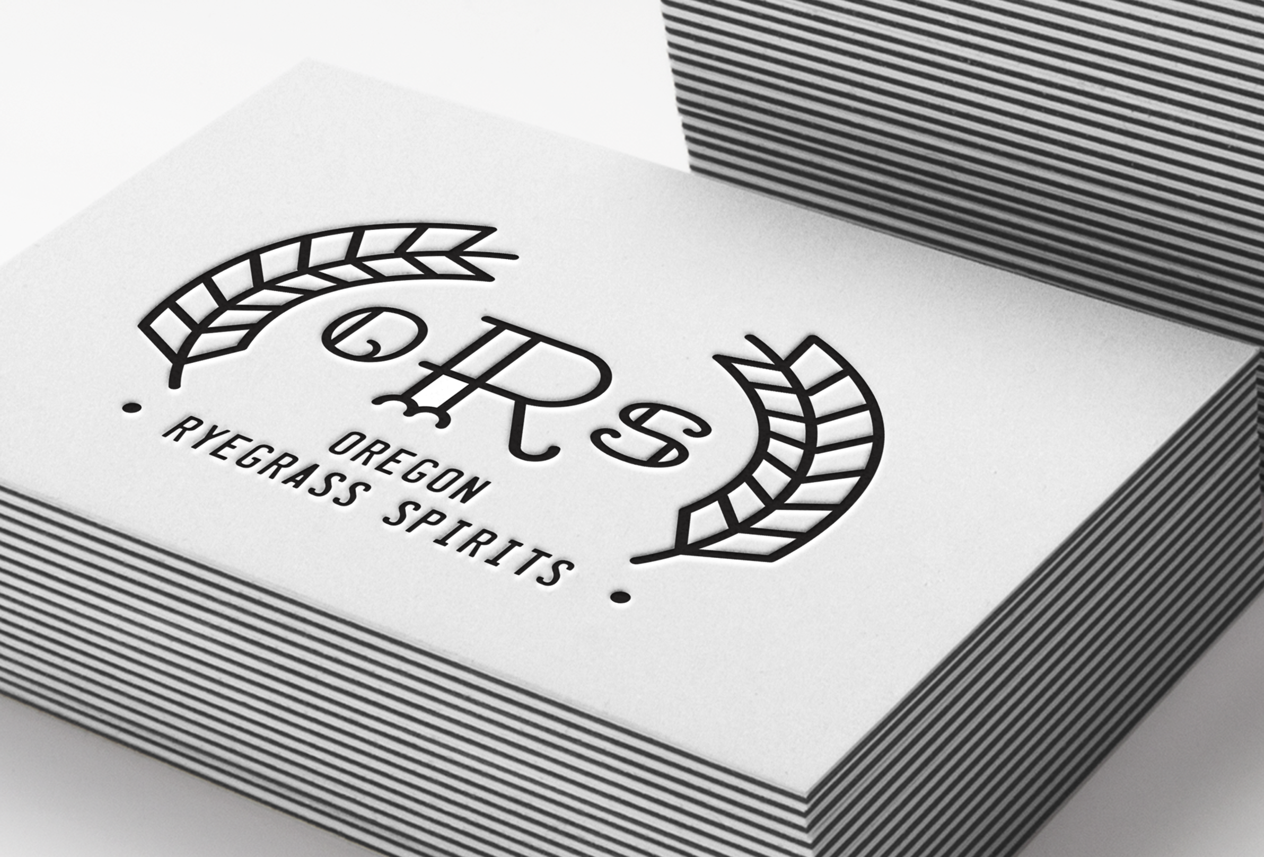 ORS MOCKUP 2 WEBSITE.png