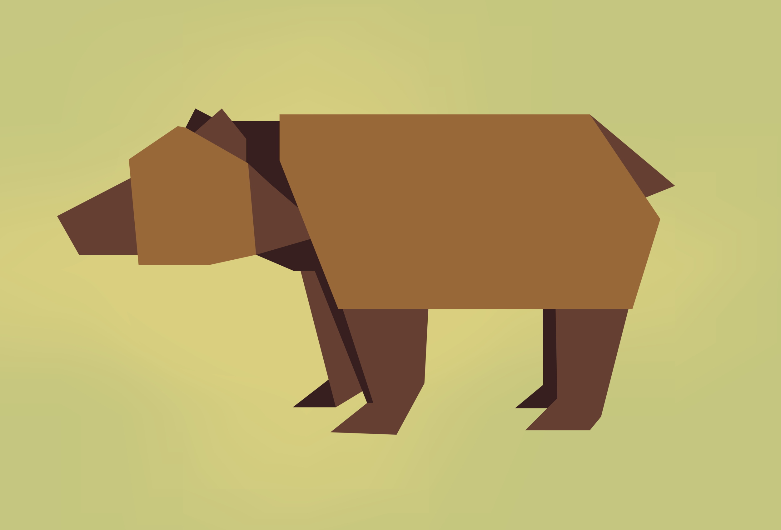 SALMON IMAGE2.png