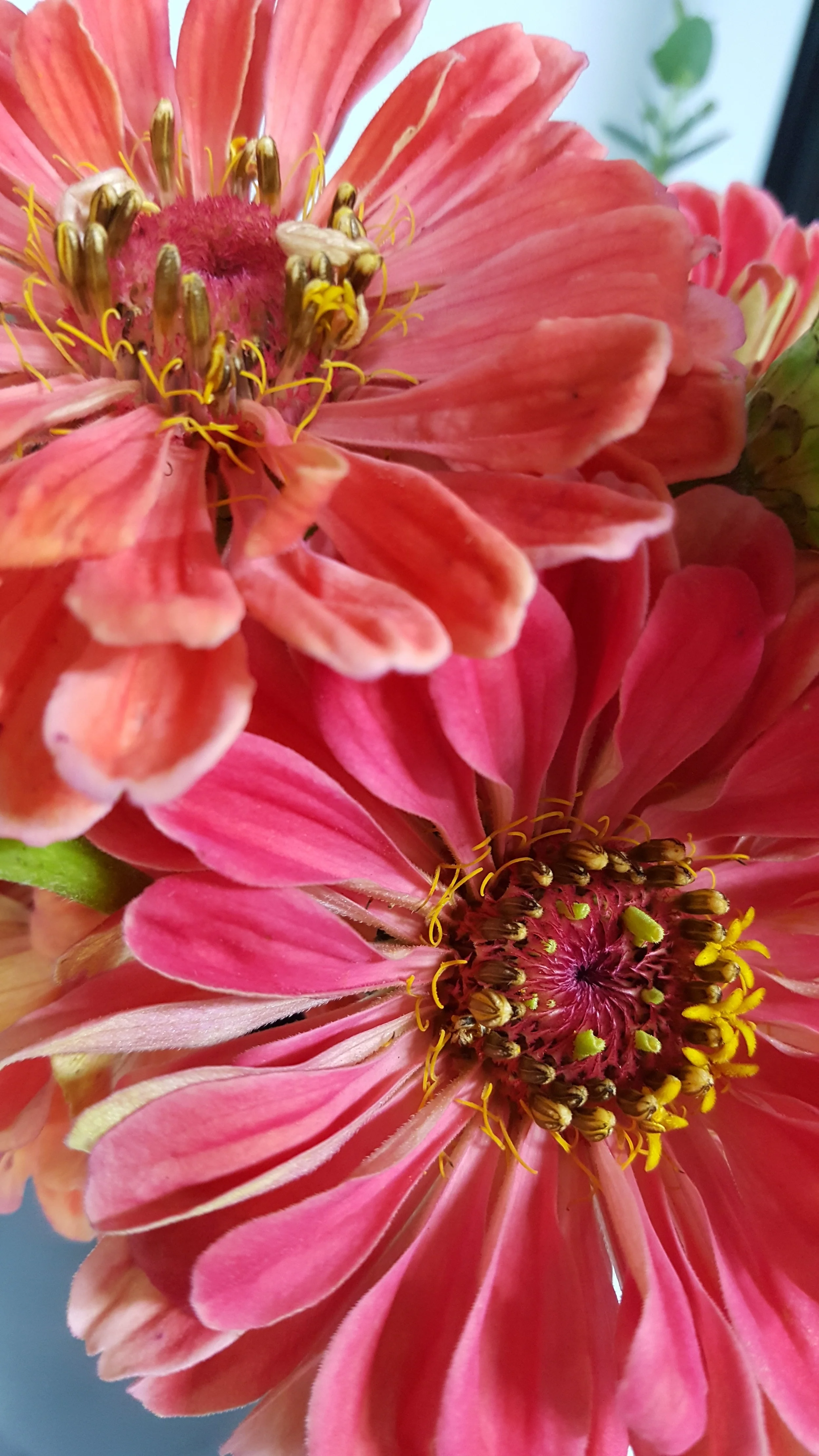 First Day of Spring_TBD