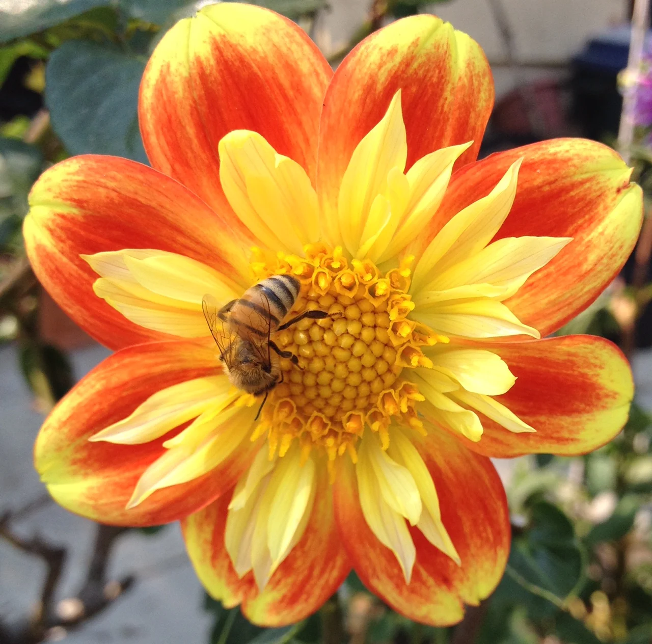 UWS Broadway near 89th St