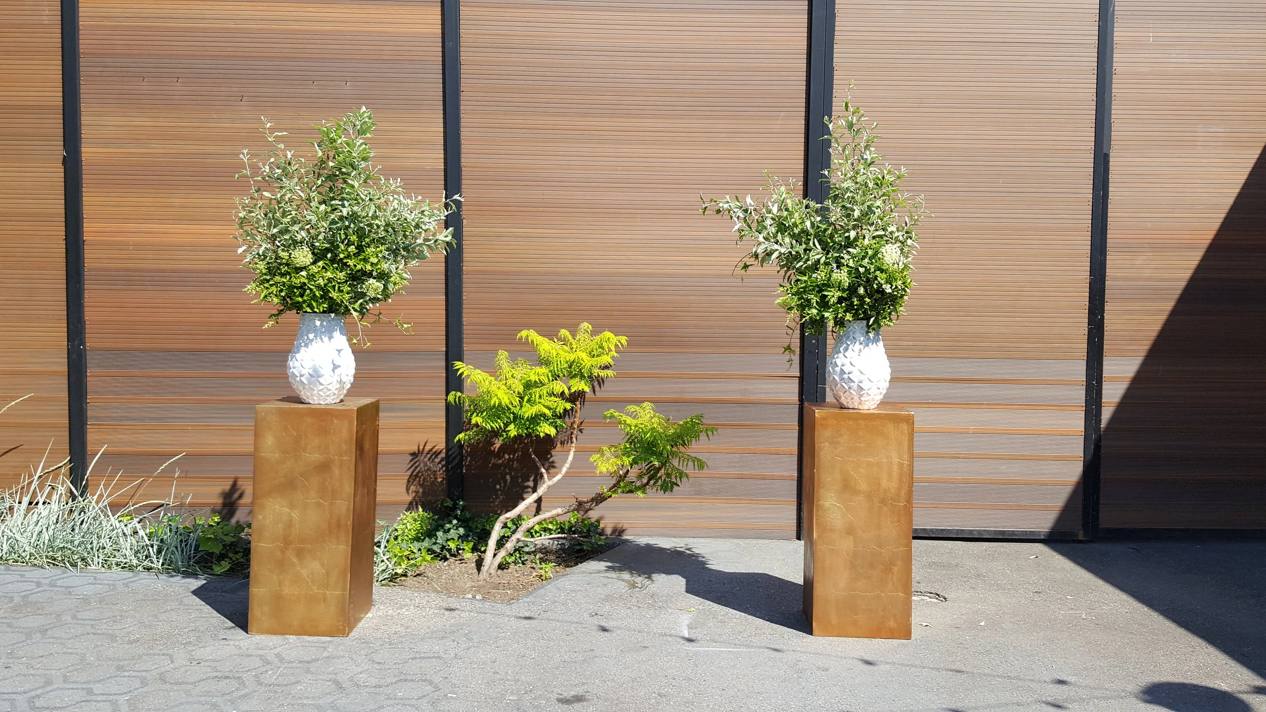 20160618_155107.jpg