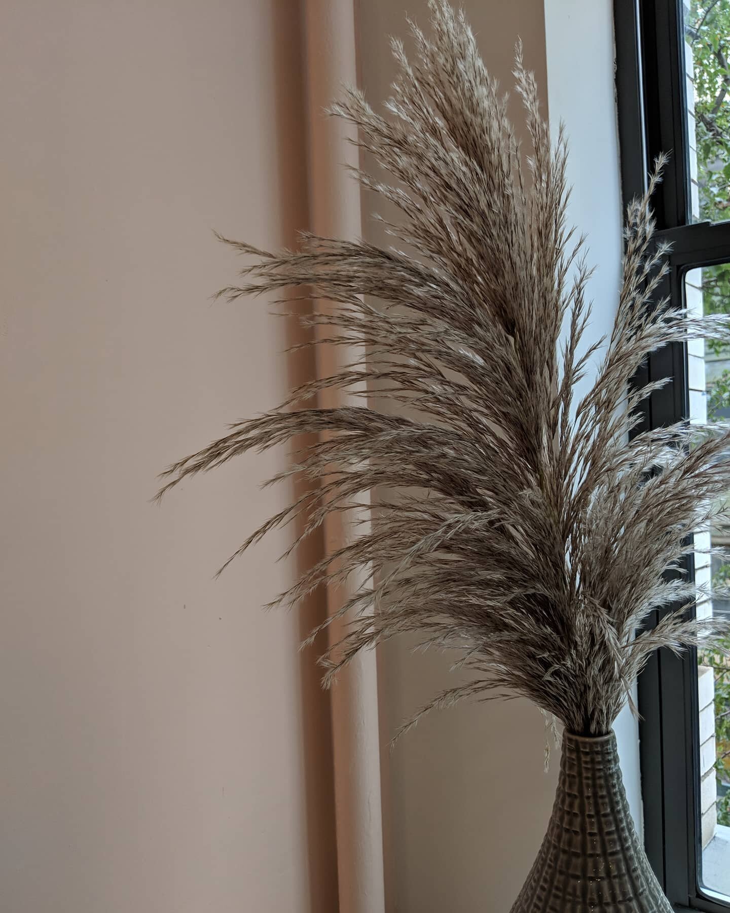 Best in grass: Pampas 🏆

🏢: @yinovacenter 

#nycflowerdelivery #officedecor #pampasgrass #nycflowers #nycdesign