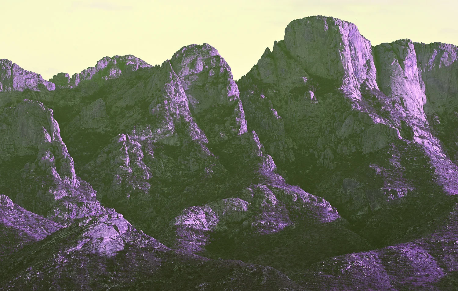 RALPH_SMITH_ARIZONA_MARCH_2013_0480_w.jpg