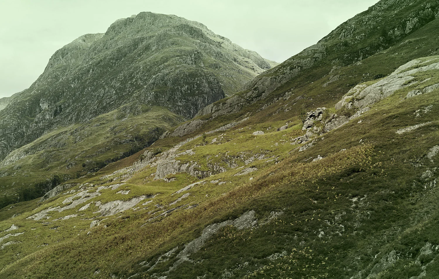 RALPH_SMITH_SCOTLAND_2012_NATURE_1443_w.jpg