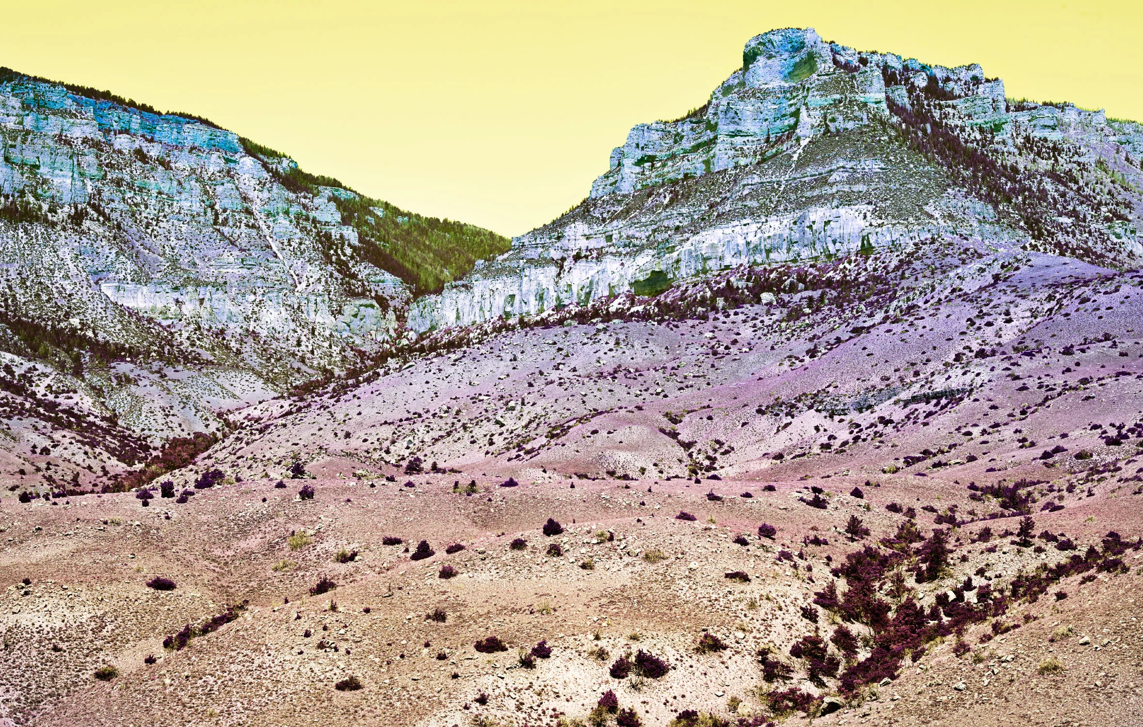 Ralph_Smith_YELLOWSTONE_2013_0228.jpg