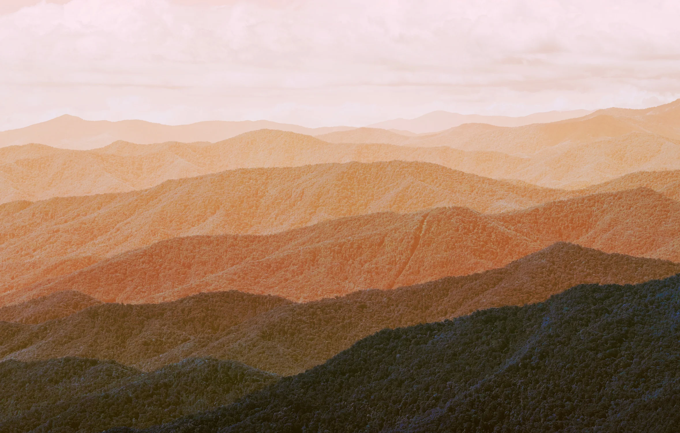 Ralph_Smith_SMOKY_MOUNTAIN_2014_0605-0606_v2_crop.jpg