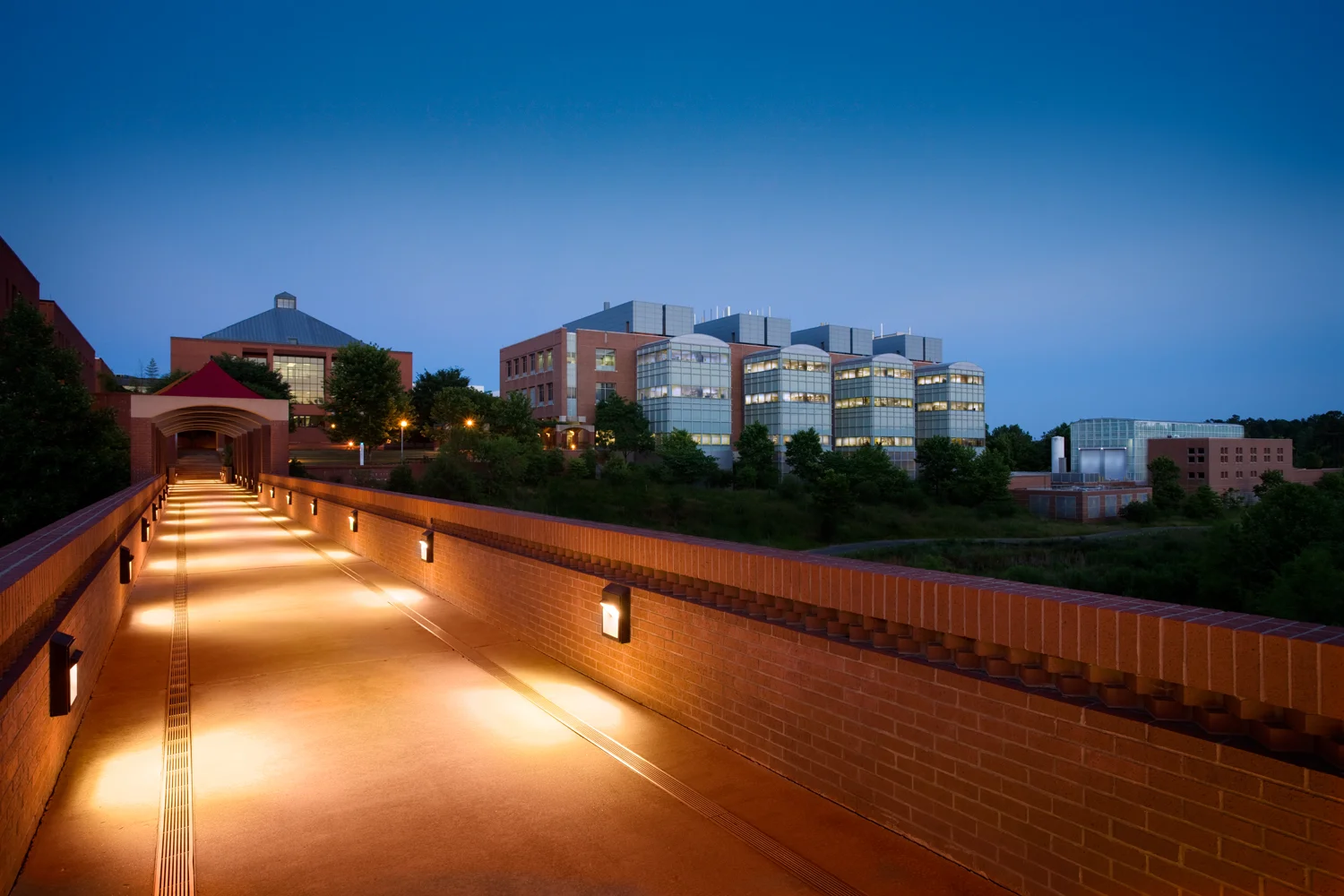 N.C. State University