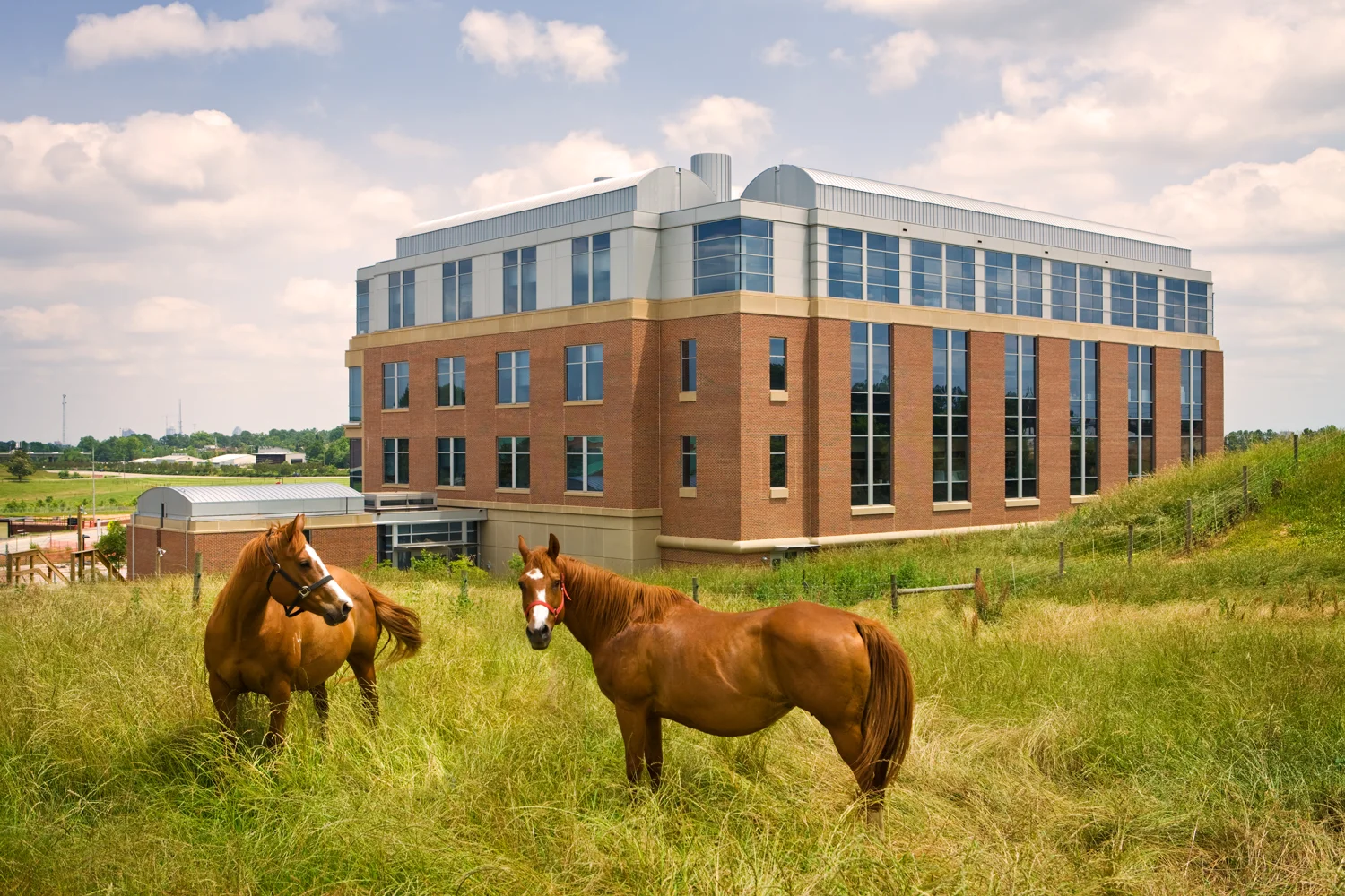 NC State Veterinary School