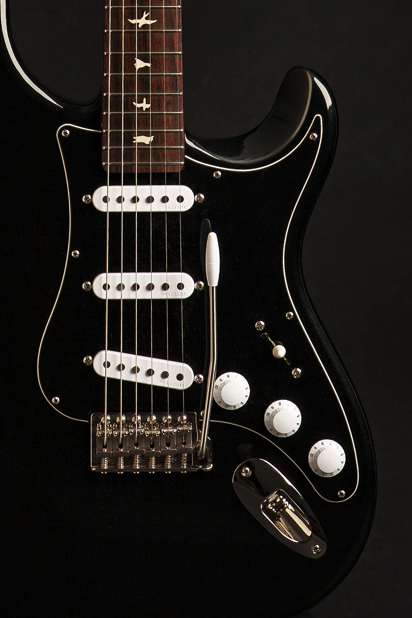 _MG_8800 Cropped 2.jpg