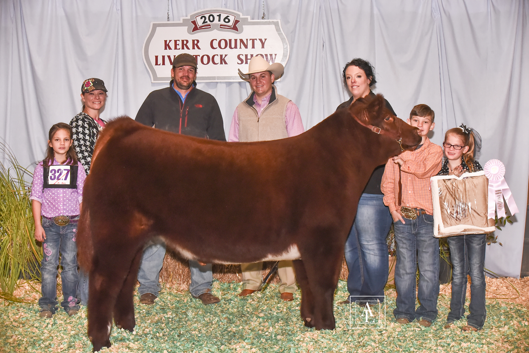 2016 KERR COUNTY YOUTH LIVESTOCK SHOW RESERVE CHAMPION BRITISH shown by CODA FRAZER