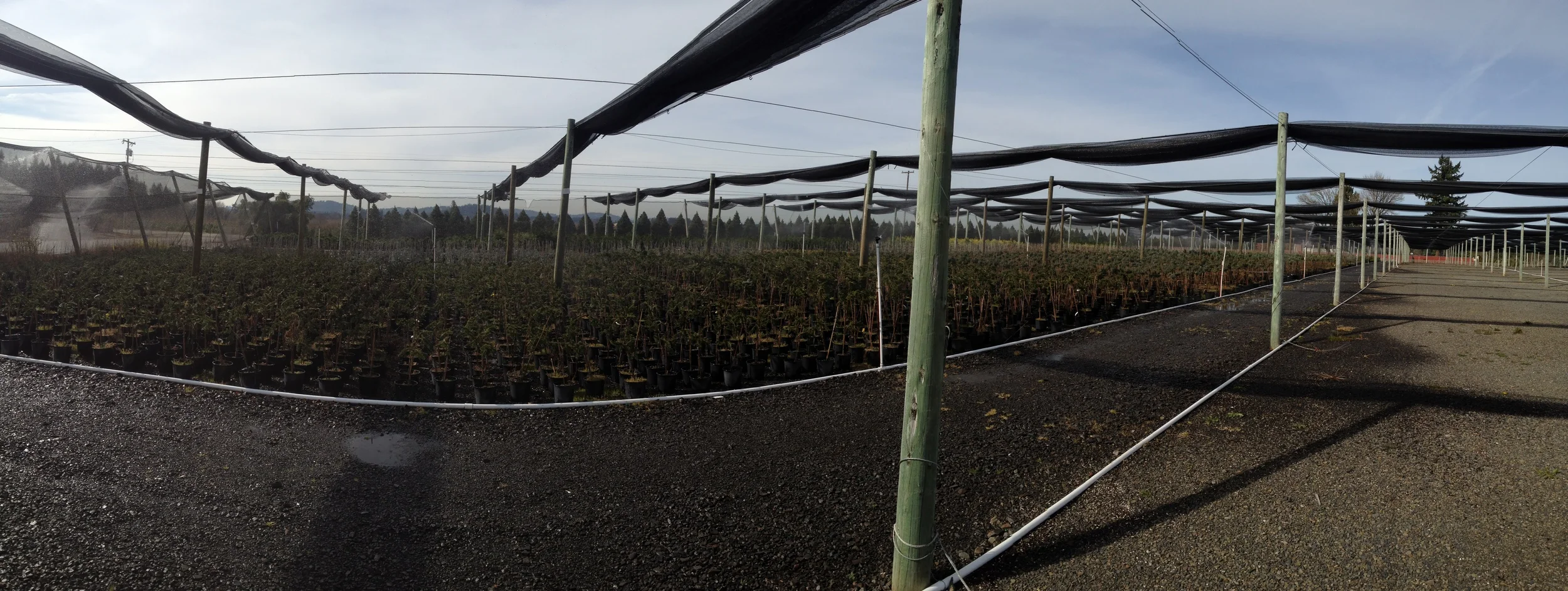 Is Your Business at Risk? Is Your Water Right Secure?